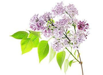 肉鸽策略冒险游戏《背包英雄》将于 8月16日推出